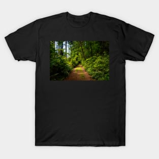 Hiking path at golden hour T-Shirt